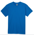 (Royal) Custom T-Shirts – 10 for $99 | 100% Cotton Personalized Shirts for Events, Businesses & Family Reunions